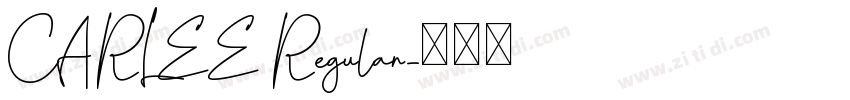 CARLEE Regular字体转换